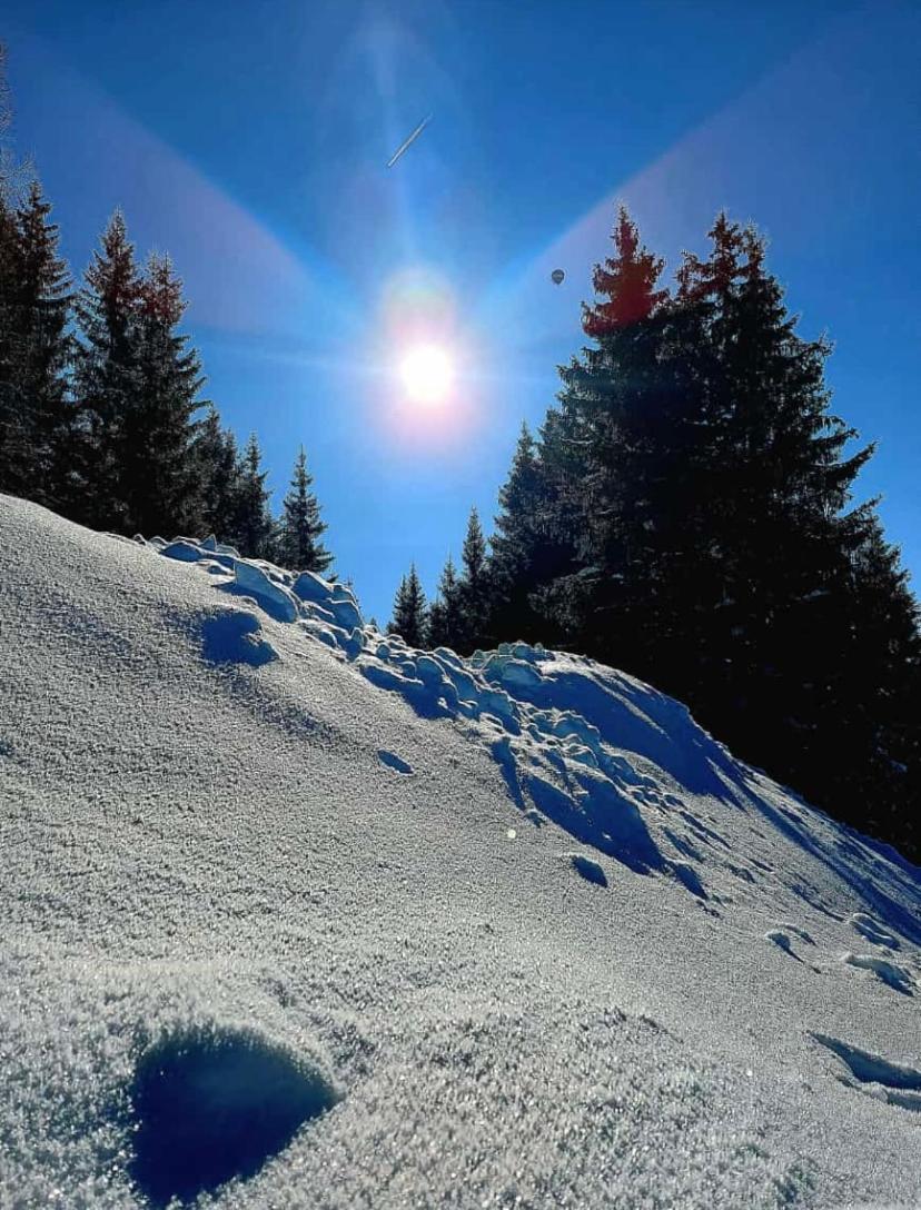 Landhotel Berger Eben Im Pongau Exteriér fotografie