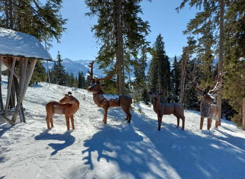 Landhotel Berger Eben Im Pongau Exteriér fotografie